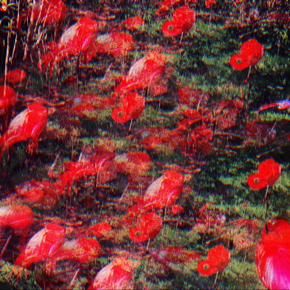 Meet your Posher, Blake - Picture 1 of 1